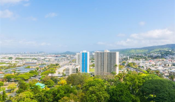 1515 Nuuanu Avenue,Honolulu,Hawaii,96817,1 ベッドルーム ベッドルーム,1 バスルームバスルーム,コンド / タウンハウス,Nuuanu,20,18031810