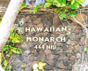 444 Niu Street,Honolulu,Hawaii,96815,1 BathroomBathrooms,Condo/Townhouse,Niu,21,18131867