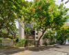 222 Vineyard Street,Honolulu,Hawaii,96813,3 Bedrooms Bedrooms,2 BathroomsBathrooms,Condo/Townhouse,Vineyard,3,18187349