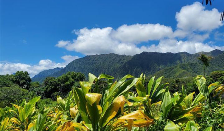 47- 164 Pulu Place,Kaneohe,Hawaii,96744,4 ベッドルーム ベッドルーム,3 バスルームバスルーム,一戸建て,Pulu,18142671