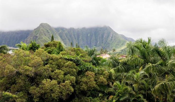 46-259 Kahuhipa Street,Kaneohe,Hawaii,96744,2 ベッドルーム ベッドルーム,1 バスルームバスルーム,コンド / タウンハウス,Kahuhipa,3,18157871