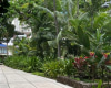 425 Ena Road,Honolulu,Hawaii,96815,2 Bedrooms Bedrooms,1 BathroomBathrooms,Condo/Townhouse,Ena,5,18214978