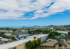 45- 535 Luluku Road,Kaneohe,Hawaii,96744,3 ベッドルーム ベッドルーム,1 バスルームバスルーム,コンド / タウンハウス,Luluku,9,18227496