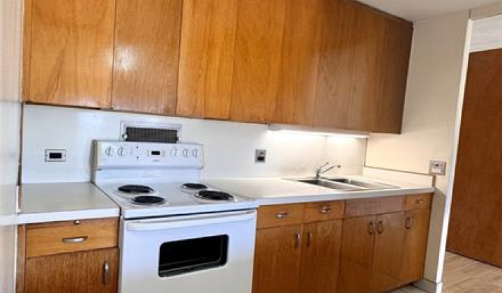 1511 Nuuanu Avenue,Honolulu,Hawaii,96817,1 Bedroom Bedrooms,1 BathroomBathrooms,Condo/Townhouse,Nuuanu,9,18383972